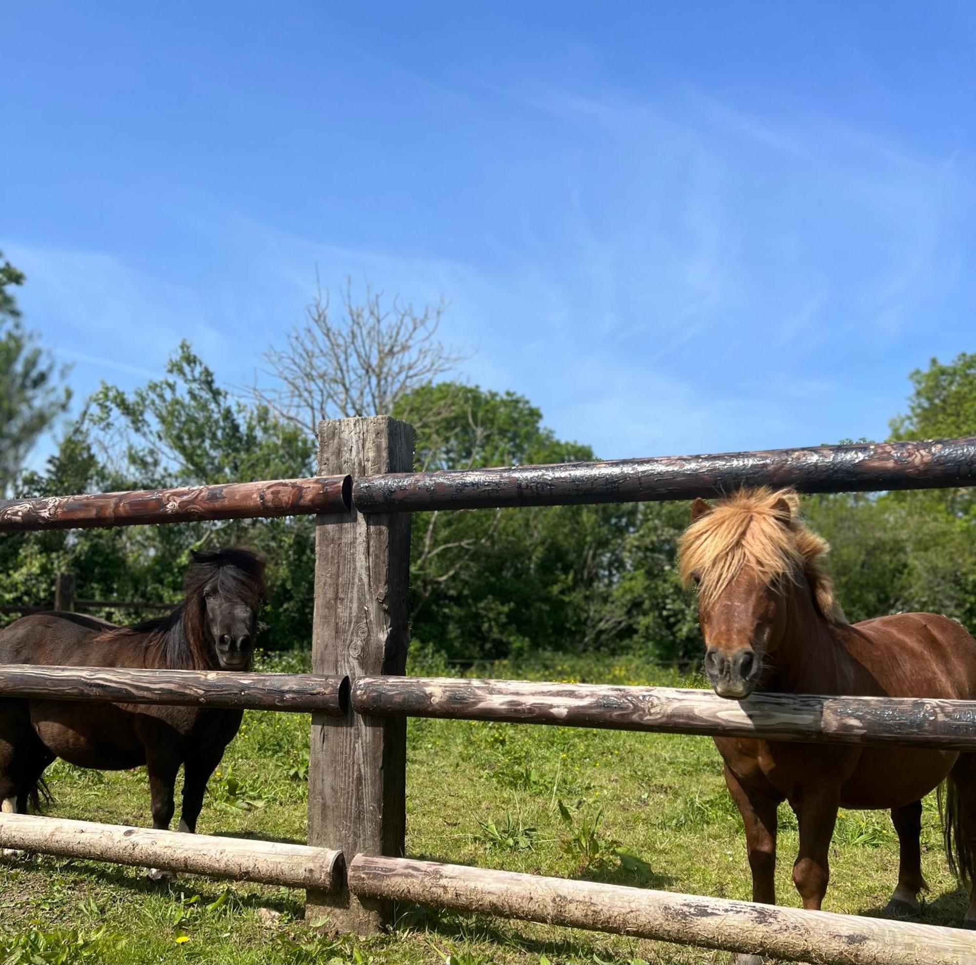 La Forge, Gite Familial,A Sainte Mere Eglise Villa Ngoại thất bức ảnh